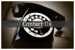 Contact Us...